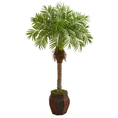 62-Inch Robellini Palm Artificial Tree in Decorative Planter