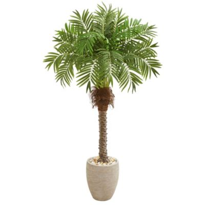 63-Inch Robellini Palm Artificial Tree in Sandstone Planter