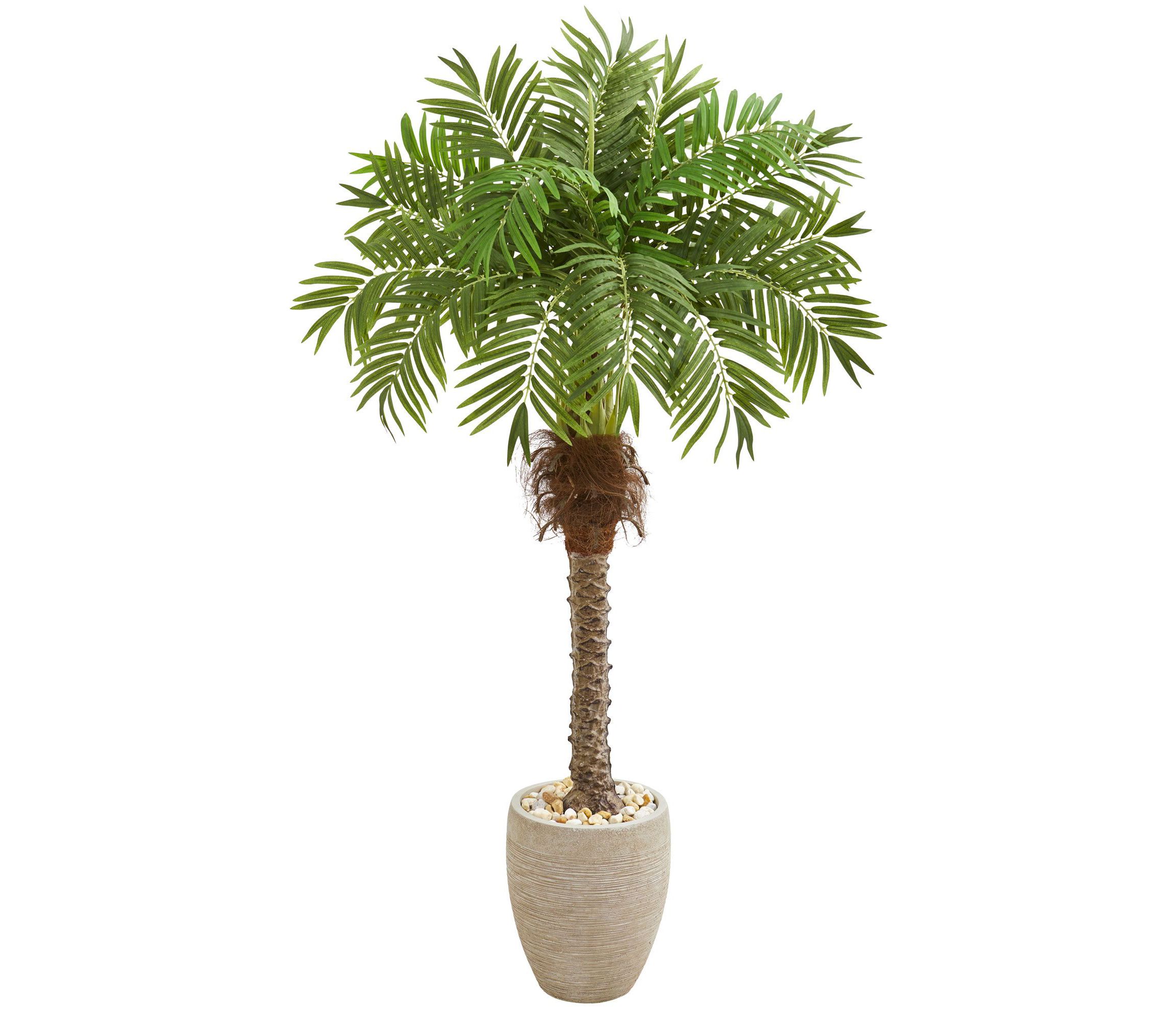 63-Inch Robellini Palm Artificial Tree in Sandstone Planter