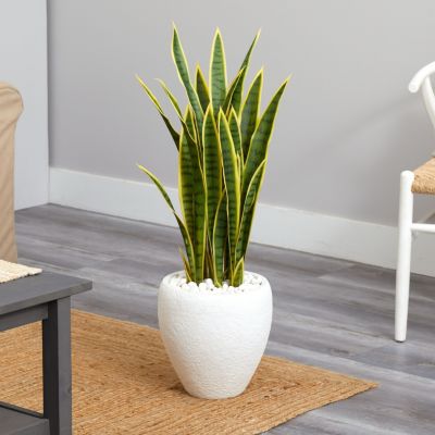 33-Inch Sansevieria Artificial Plant in White Planter