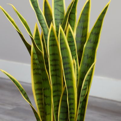 33-Inch Sansevieria Artificial Plant in White Planter