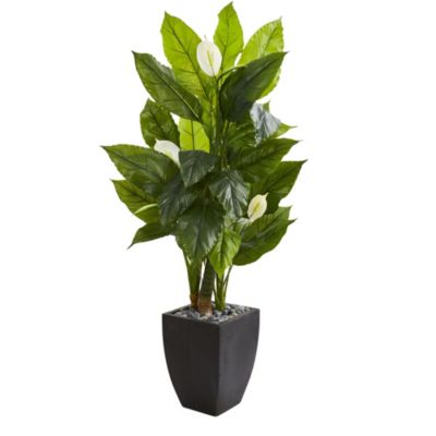 63-Inch Spathiphyllum Artificial Plant in Black Planter (Real Touch)