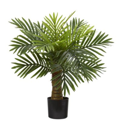 26-Inch Robellini Palm Artificial Tree