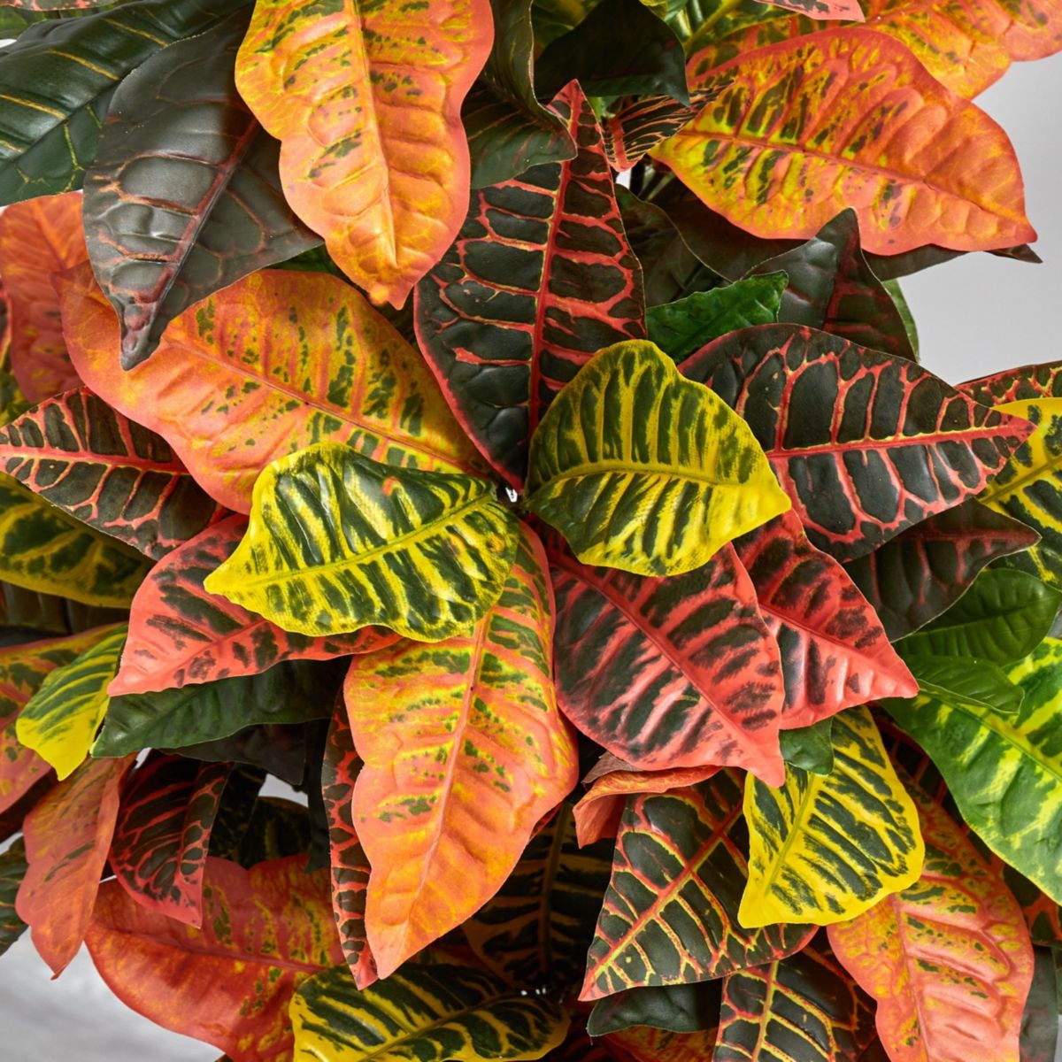 44-Inch Croton Artificial Plant in Decorative Planter (Real Touch)