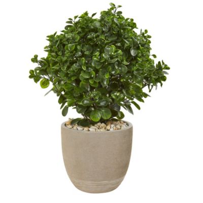 30-Inch Peperomia Artificial Plant in Sand Stone Planter UV Resistant (Indoor/Outdoor)