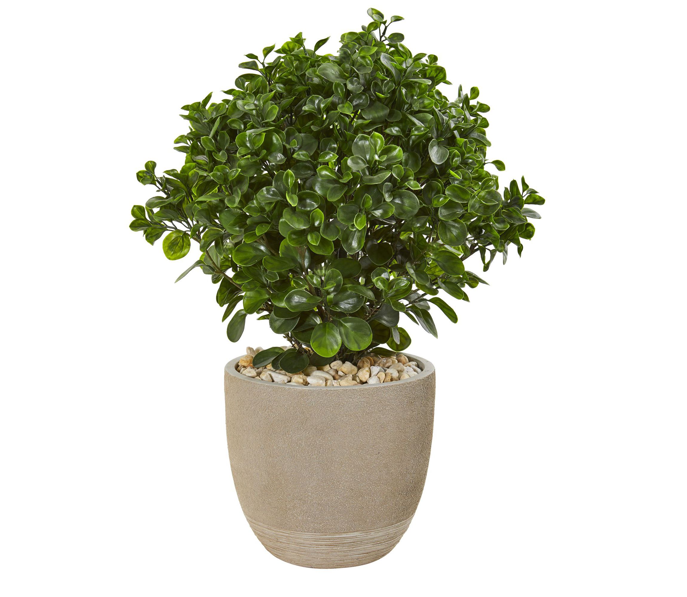 30-Inch Peperomia Artificial Plant in Sand Stone Planter UV Resistant (Indoor/Outdoor)