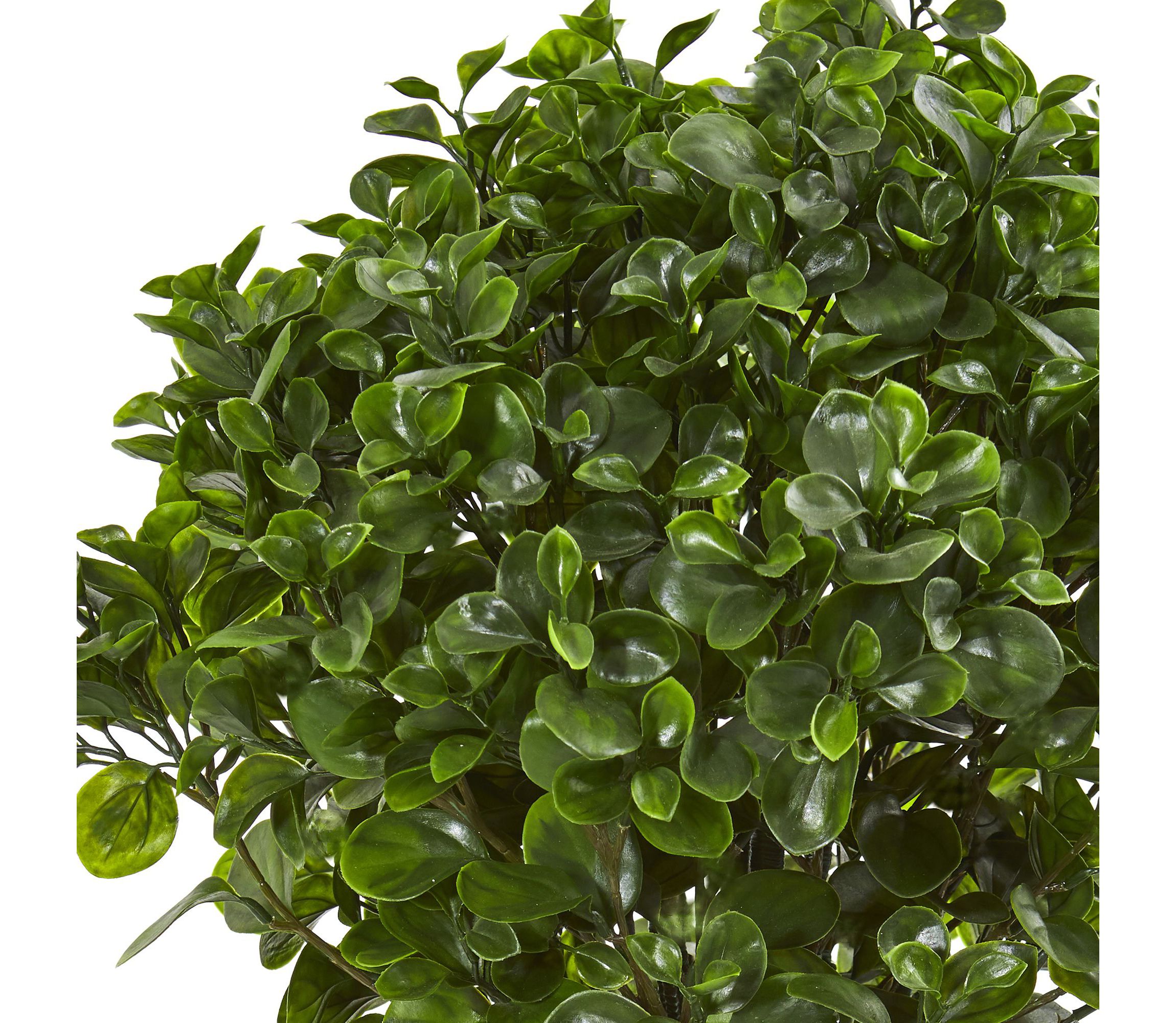 30-Inch Peperomia Artificial Plant in Sand Stone Planter UV Resistant (Indoor/Outdoor)