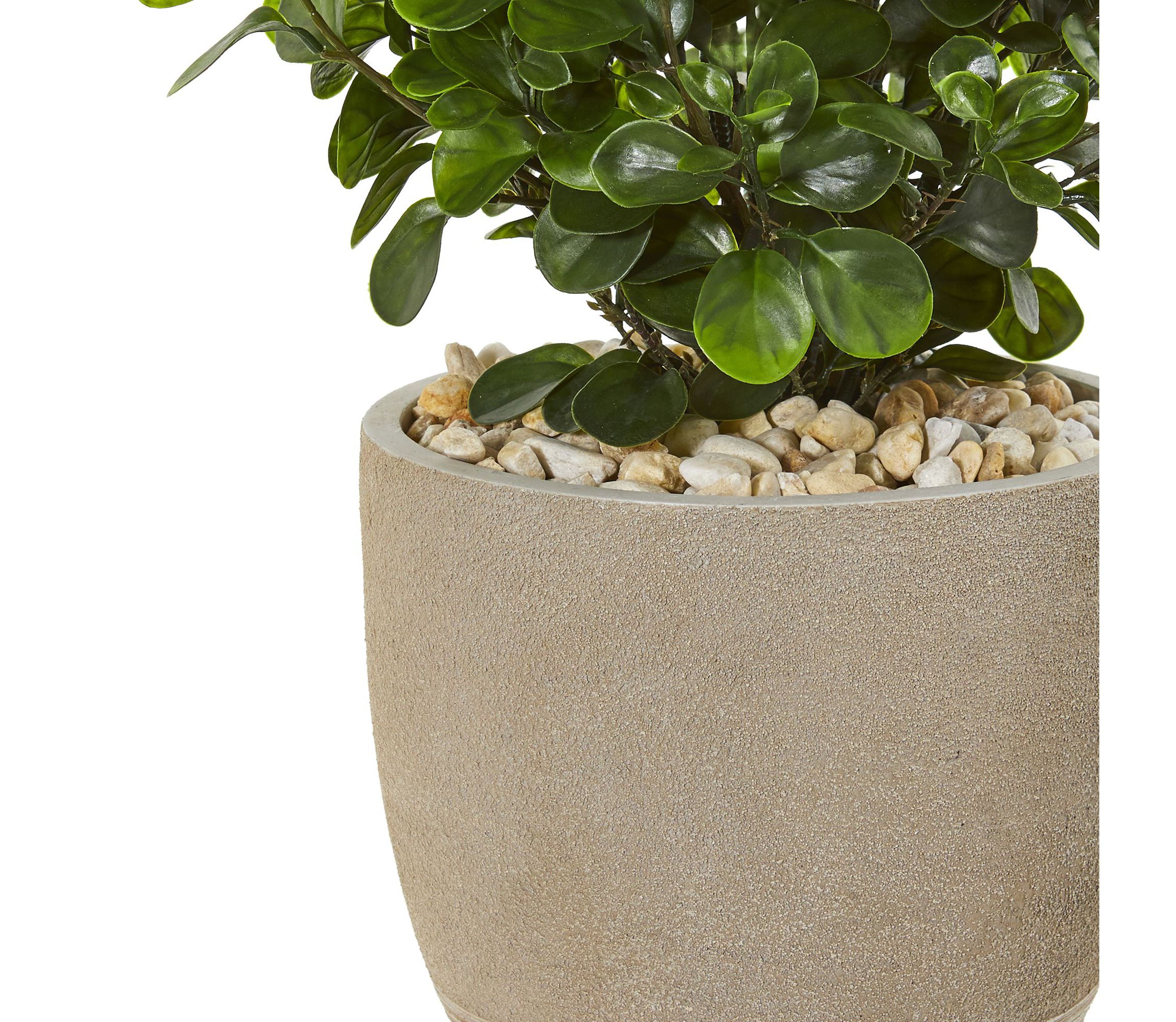 30-Inch Peperomia Artificial Plant in Sand Stone Planter UV Resistant (Indoor/Outdoor)