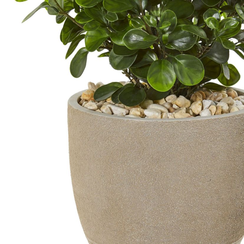 30-Inch Peperomia Artificial Plant in Sand Stone Planter UV Resistant (Indoor/Outdoor)