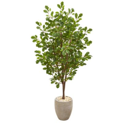 69-Inch Oak Artificial Tree in Sand Colored Planter