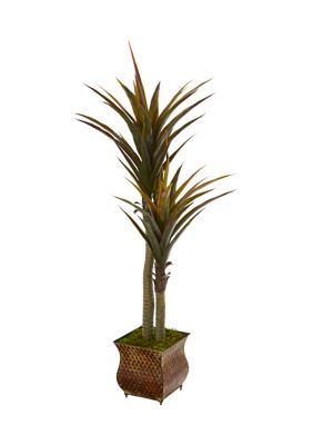 Yucca Tree in Decorative Planter