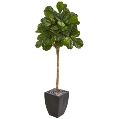 71-Inch Fiddle Leaf Fig Artificial Tree in Black Planter