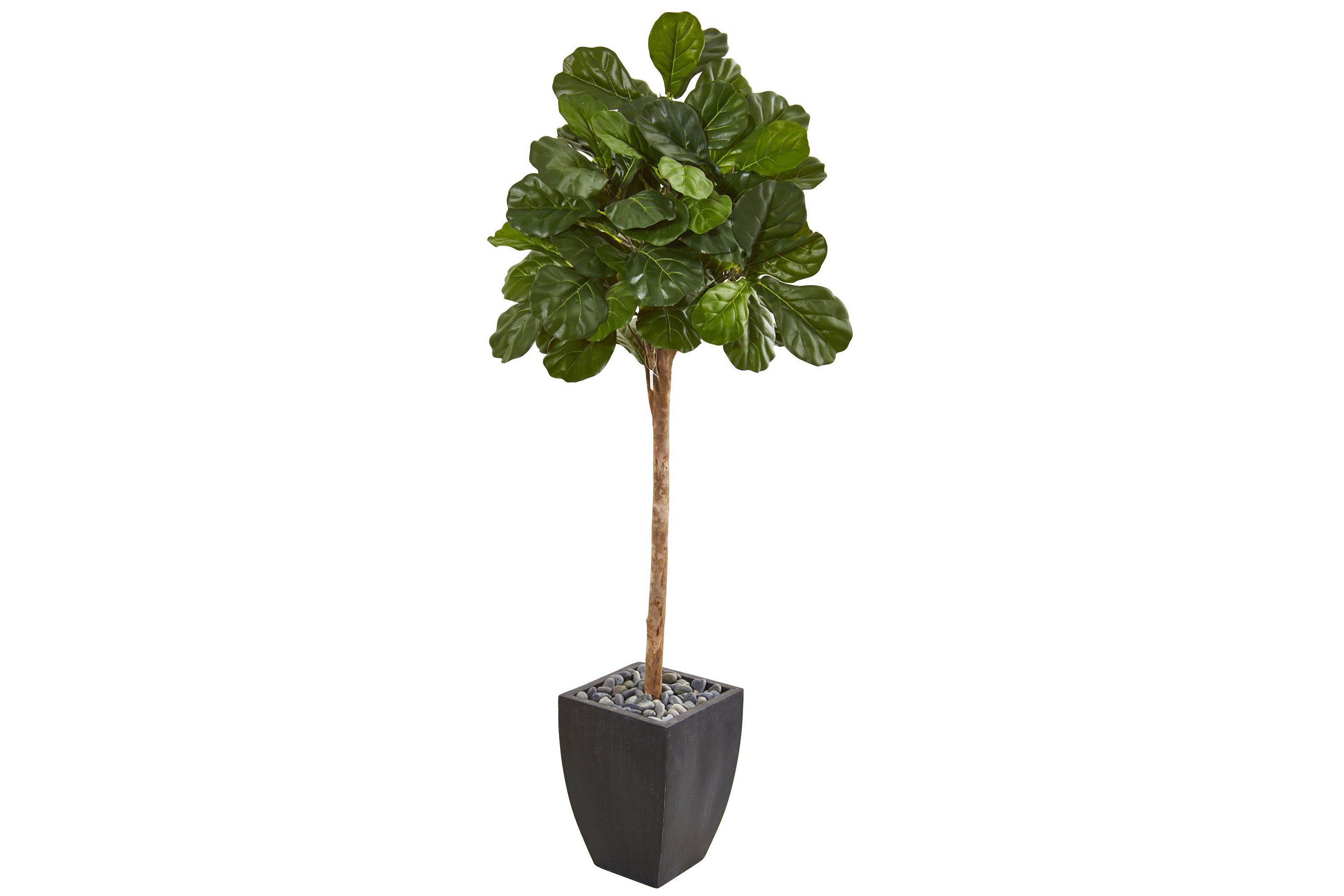 71-Inch Fiddle Leaf Fig Artificial Tree in Black Planter