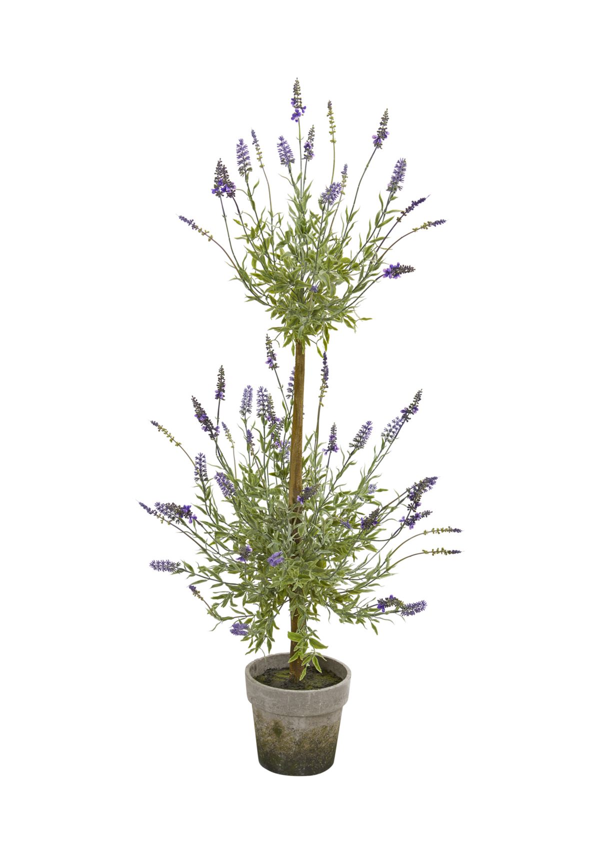 Lavender Topiary Tree