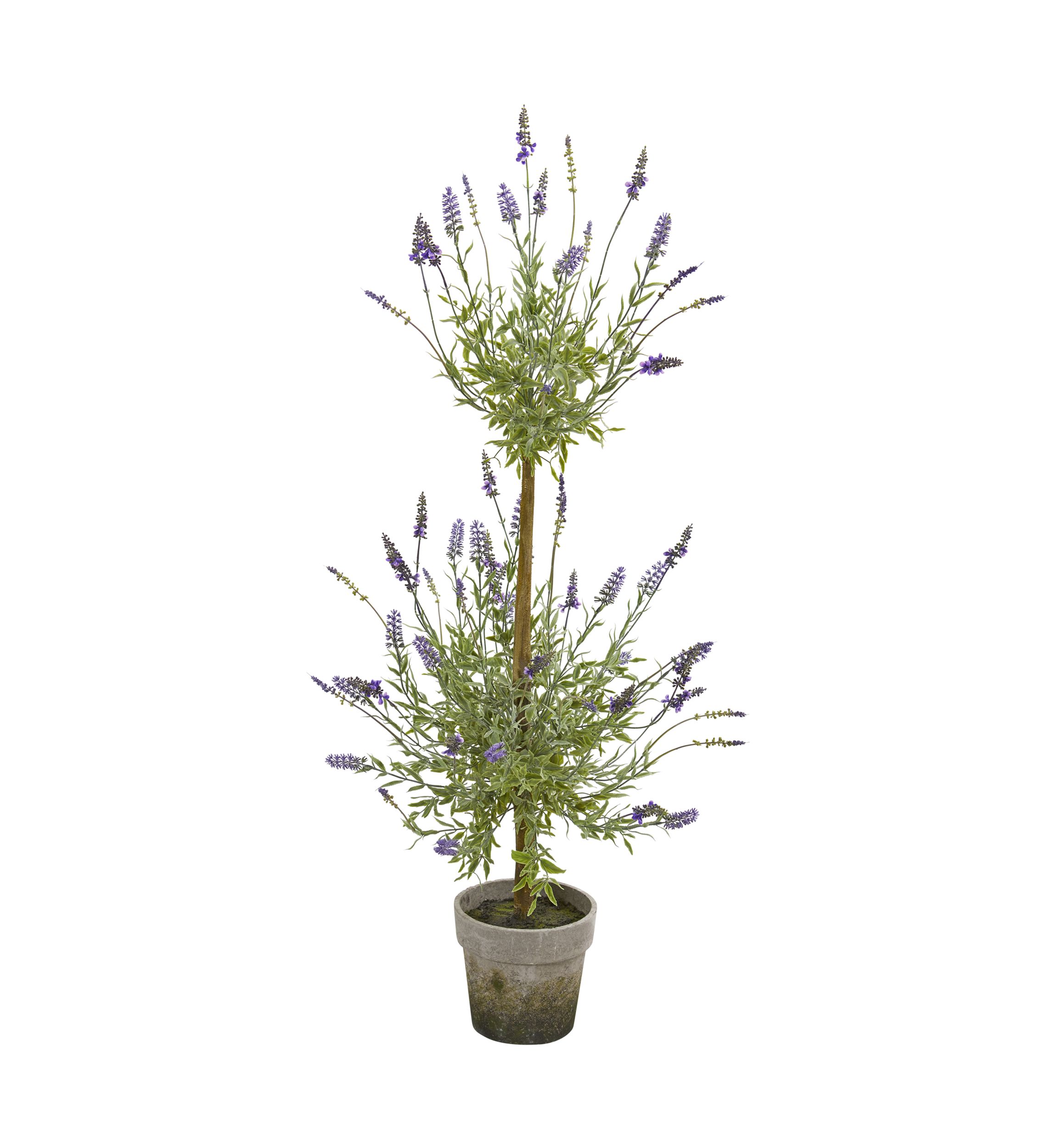 Lavender Topiary Tree