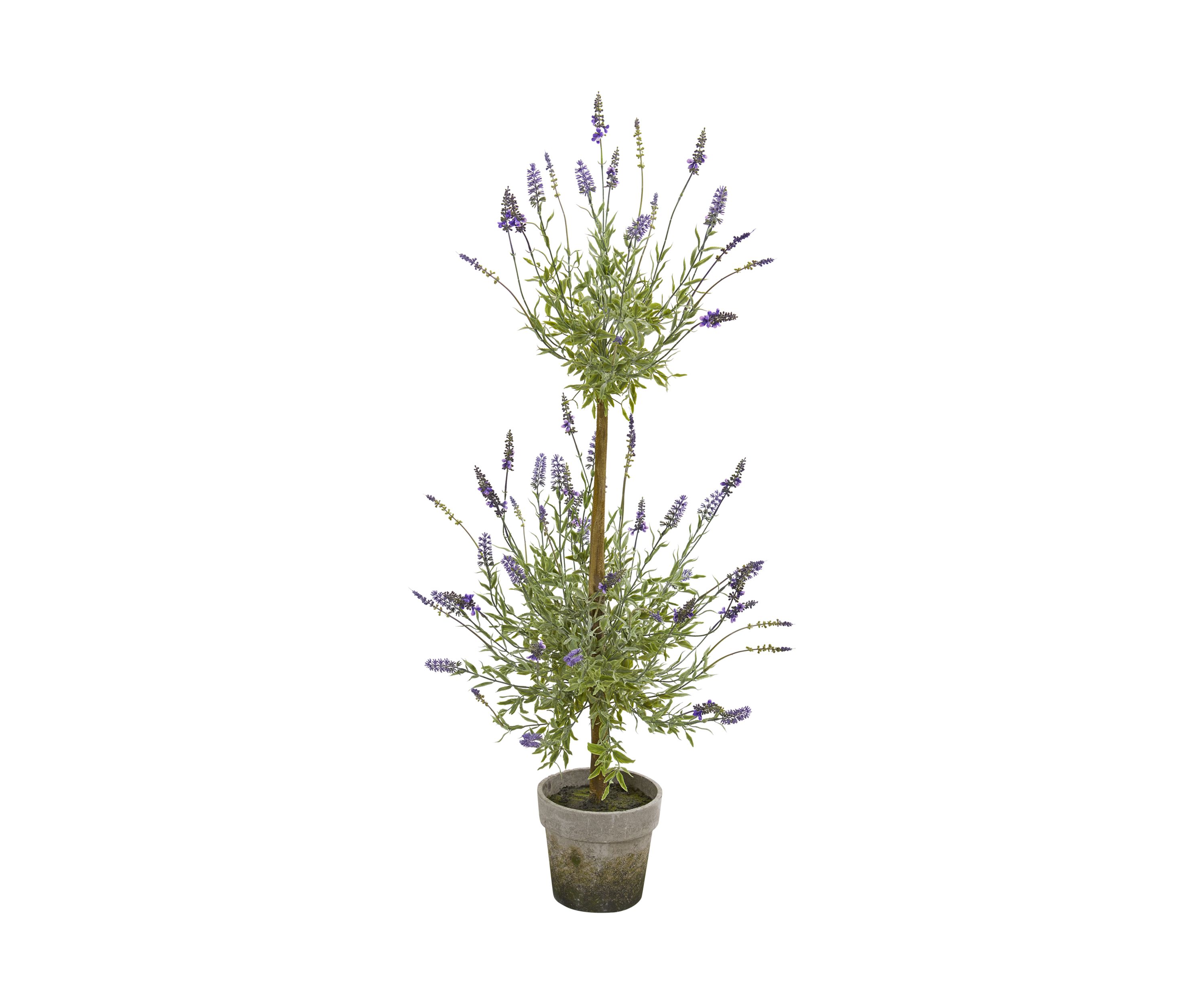 Lavender Topiary Tree