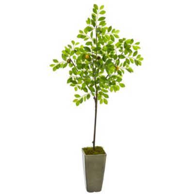 6-Foot Lemon Artificial Tree in Olive Green Planter