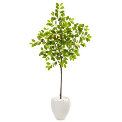 68-Inch Lemon Artificial Tree in White Planter