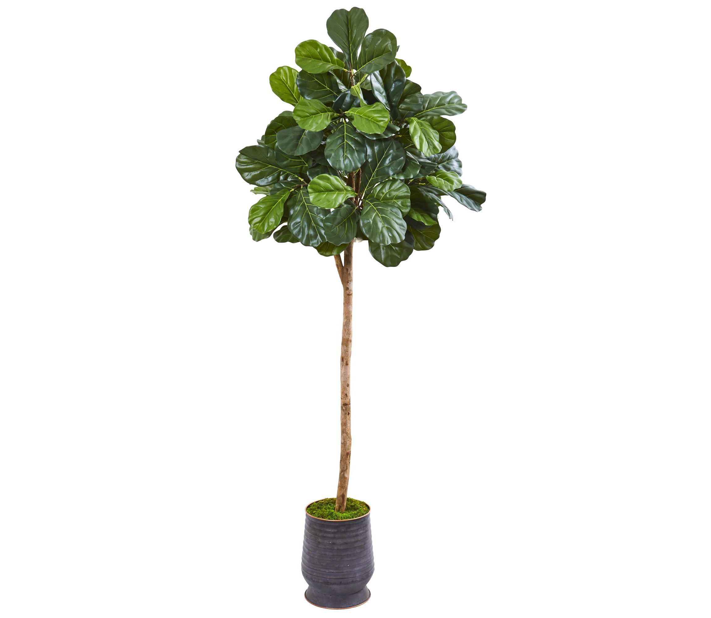 80-Inch Fiddle Leaf Fig Artificial tree in Ribbed Metal Planter