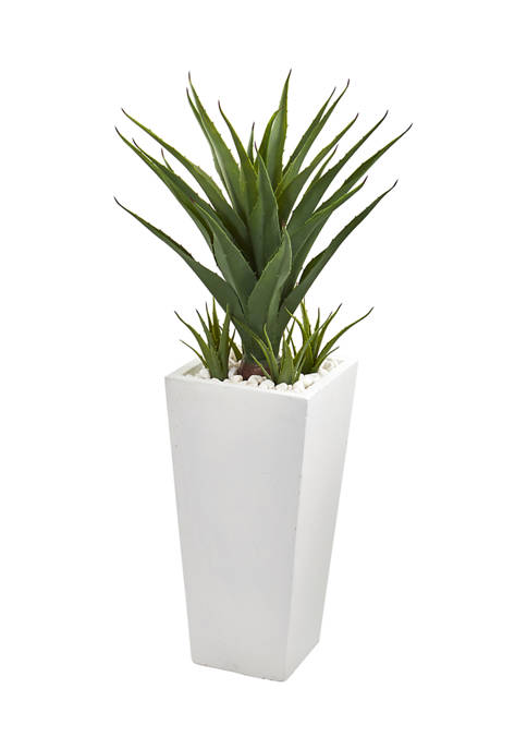 Spiky Agave Plant in Planter