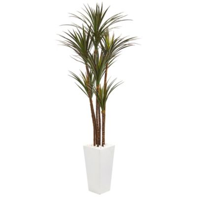 6.5-Foot Giant Yucca Artificial Tree in White Planter UV Resistant