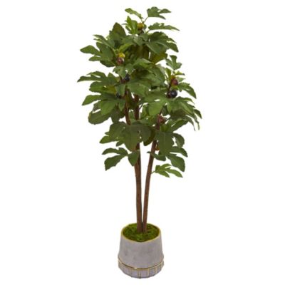 47-Inch Fig Artificial Tree in Stoneware Vase with Gold Trimming