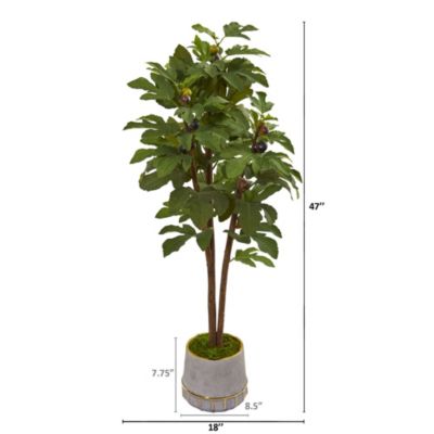 47-Inch Fig Artificial Tree in Stoneware Vase with Gold Trimming