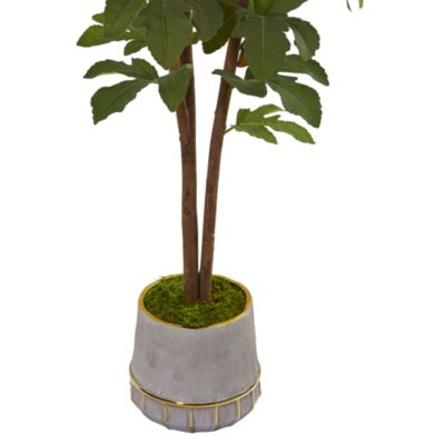 47-Inch Fig Artificial Tree in Stoneware Vase with Gold Trimming