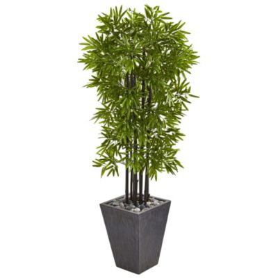 Nearly Natural 61-Inch Bamboo Artificial Tree with Black Trunks in Slate Planter UV Resistant (Indoor/Outdoor), Green