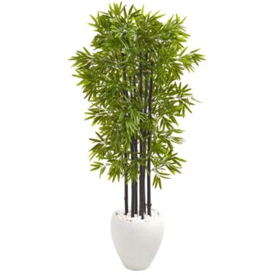 Nearly Natural 5-Foot Bamboo Artificial Tree with Black Trunks in White Planter UV Resistant (Indoor/Outdoor), Green