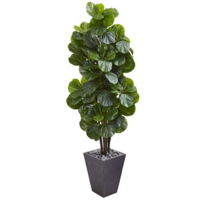 6-Foot Fiddle Leaf Fig Artificial Tree in Slate Planter