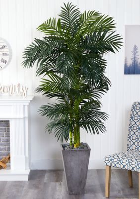 Nearly Natural Golden Cane Palm Tree in Cement Planter, Green
