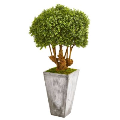 51-Inch Boxwood Artificial Topiary Tree in Cement Planter (Indoor/Outdoor)