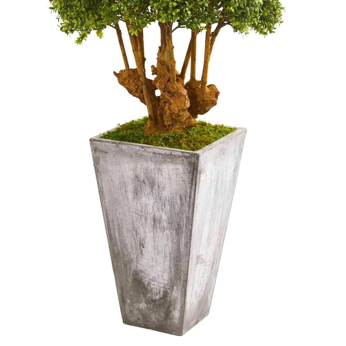 51-Inch Boxwood Artificial Topiary Tree in Cement Planter (Indoor/Outdoor)