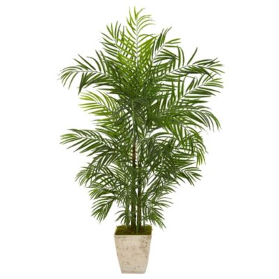 63-Inch Areca Artificial Palm Tree in Country White Planter UV Resistant (Indoor/Outdoor)