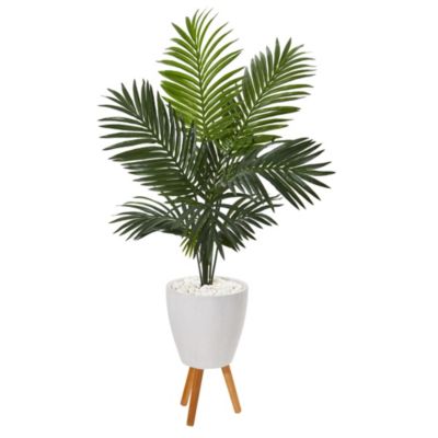 Nearly Natural 61-Inch Paradise Palm Artificial Tree in White Planter with Stand, Green