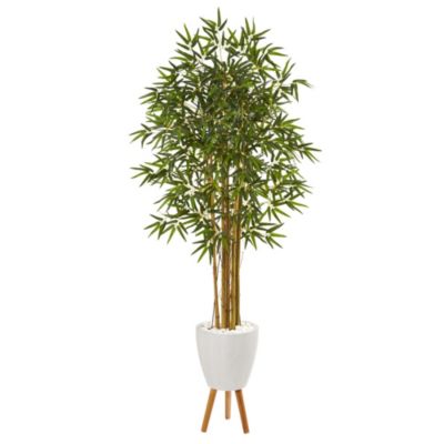 74-Inch Multi Bambusa Bamboo Artificial Tree in White Planter with Stand