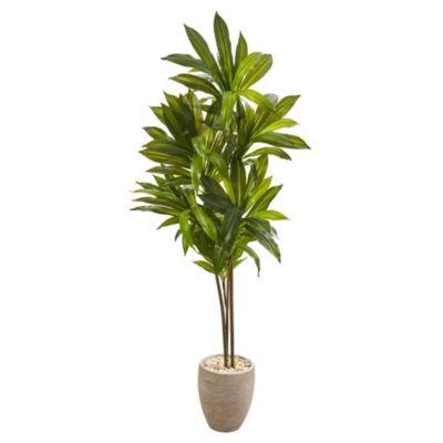 68-Inch Dracaena Artificial Plant in Sand Colored Planter (Real Touch)