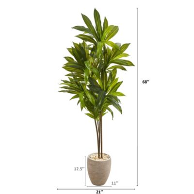68-Inch Dracaena Artificial Plant in Sand Colored Planter (Real Touch)