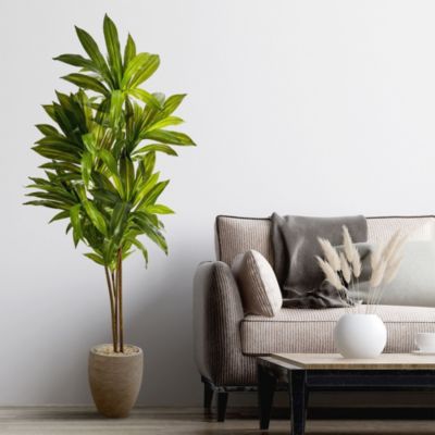 68-Inch Dracaena Artificial Plant in Sand Colored Planter (Real Touch)