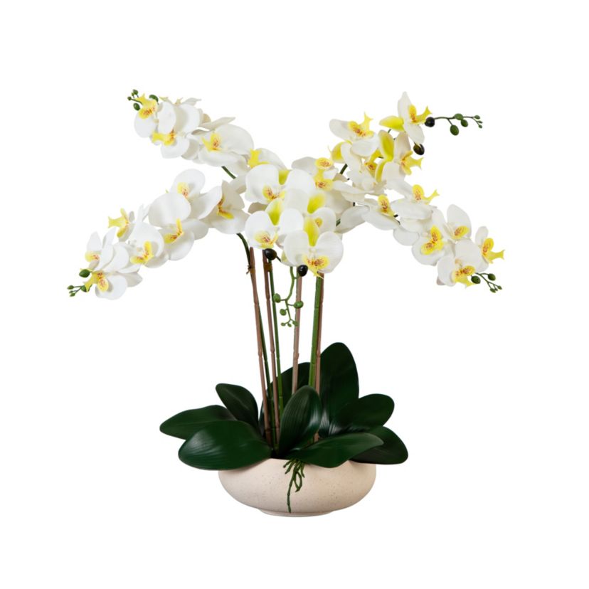 23in. Artificial Phalaenopsis Orchid Arrangement in White Ceramic Planter (Real Touch)