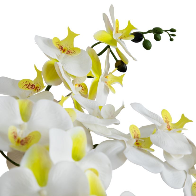 23in. Artificial Phalaenopsis Orchid Arrangement in White Ceramic Planter (Real Touch)