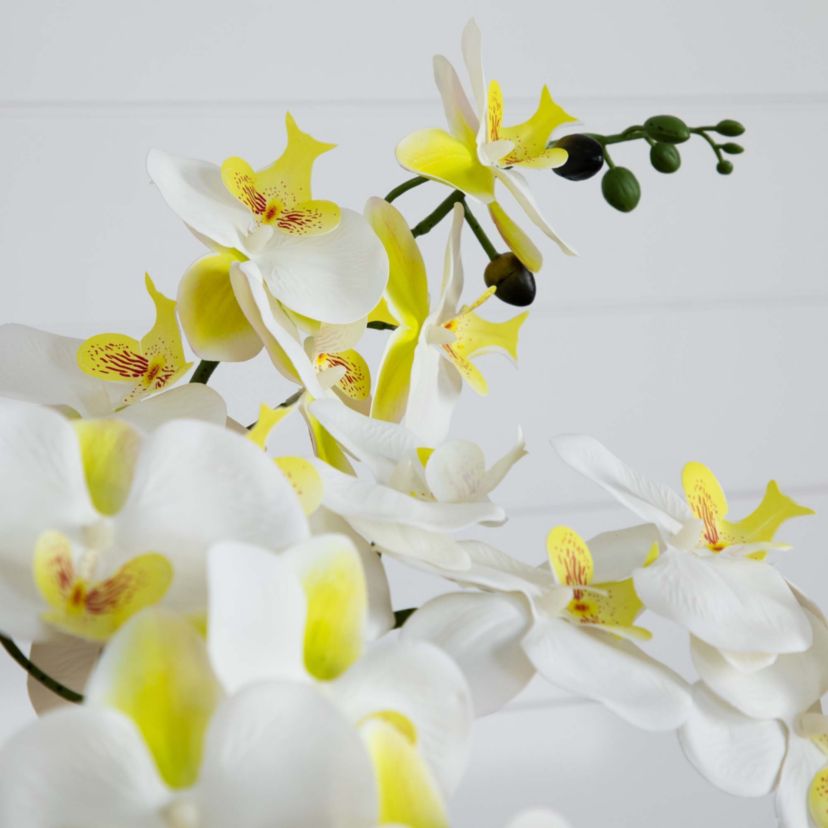 23in. Artificial Phalaenopsis Orchid Arrangement in White Ceramic Planter (Real Touch)