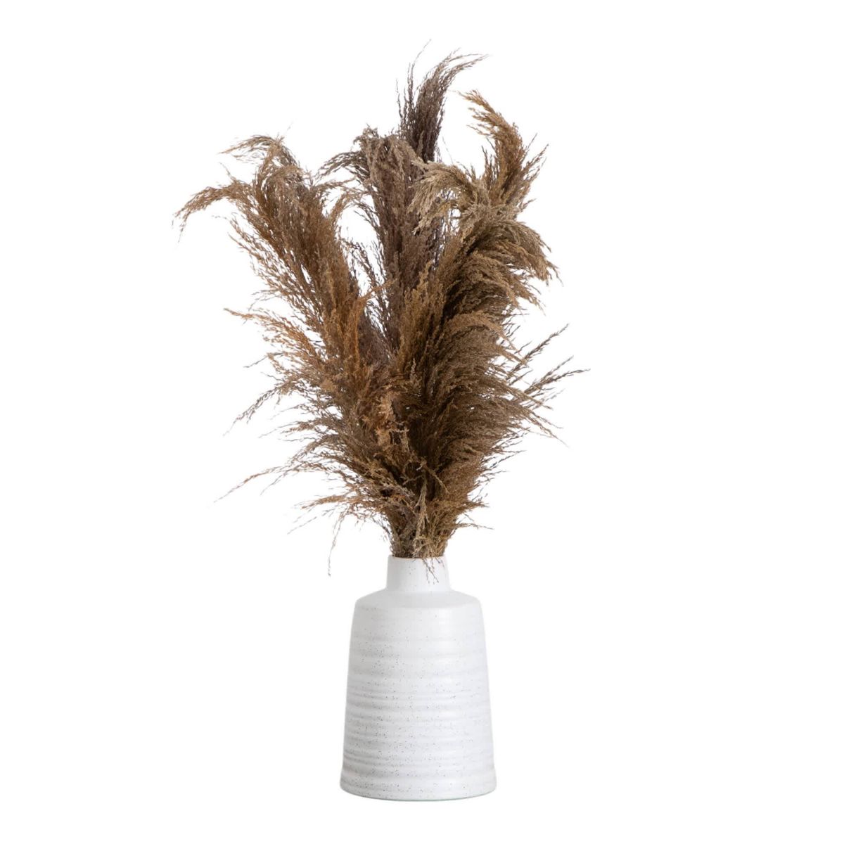 30-Inch  Dried Natural Pampas Arrangement in Ceramic Vase