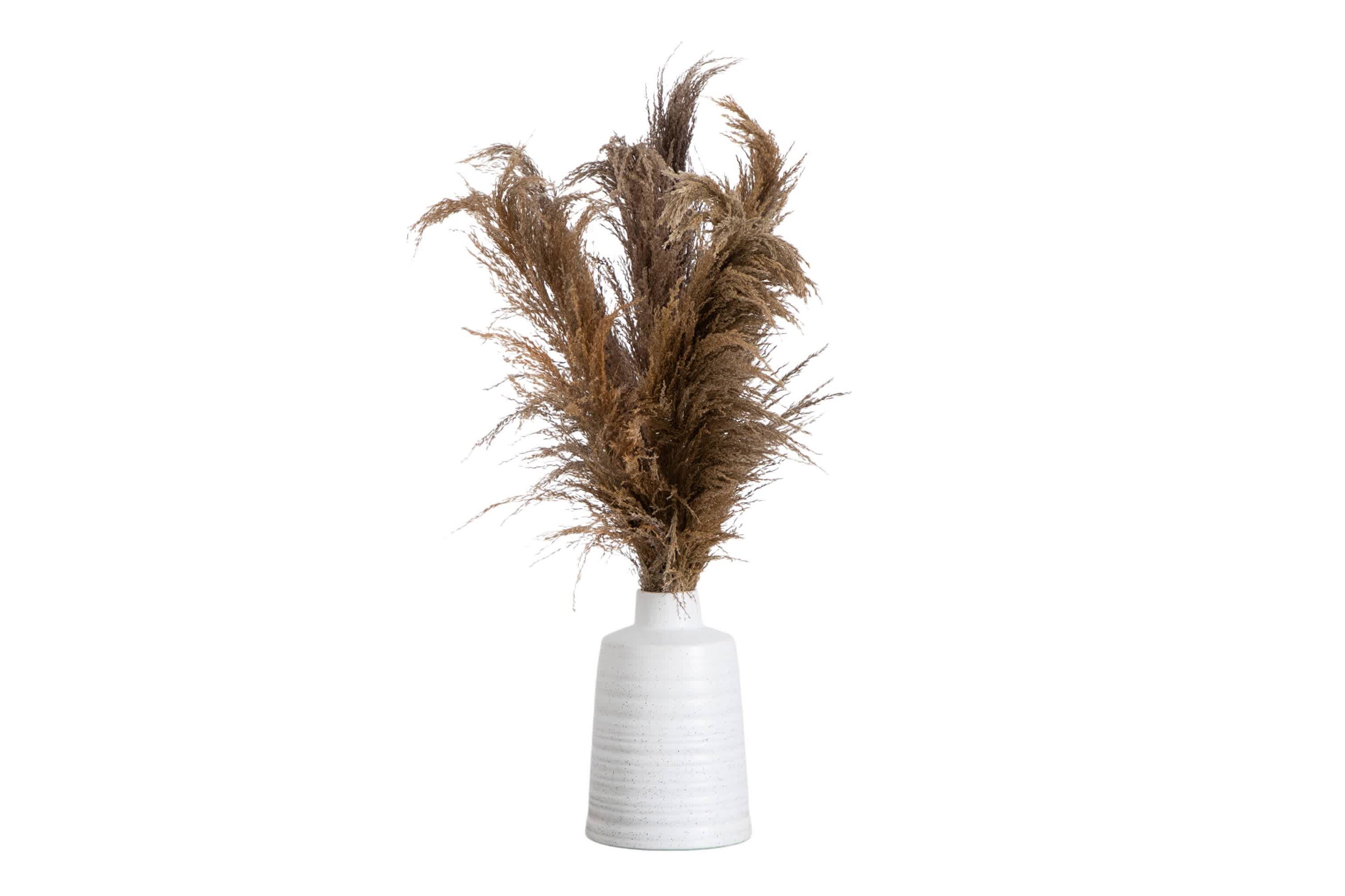 30-Inch  Dried Natural Pampas Arrangement in Ceramic Vase