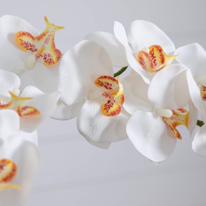 26-Inch  Artificial Double Orchid Arrangement in Handmade Mexican Talavera Ceramic Planter