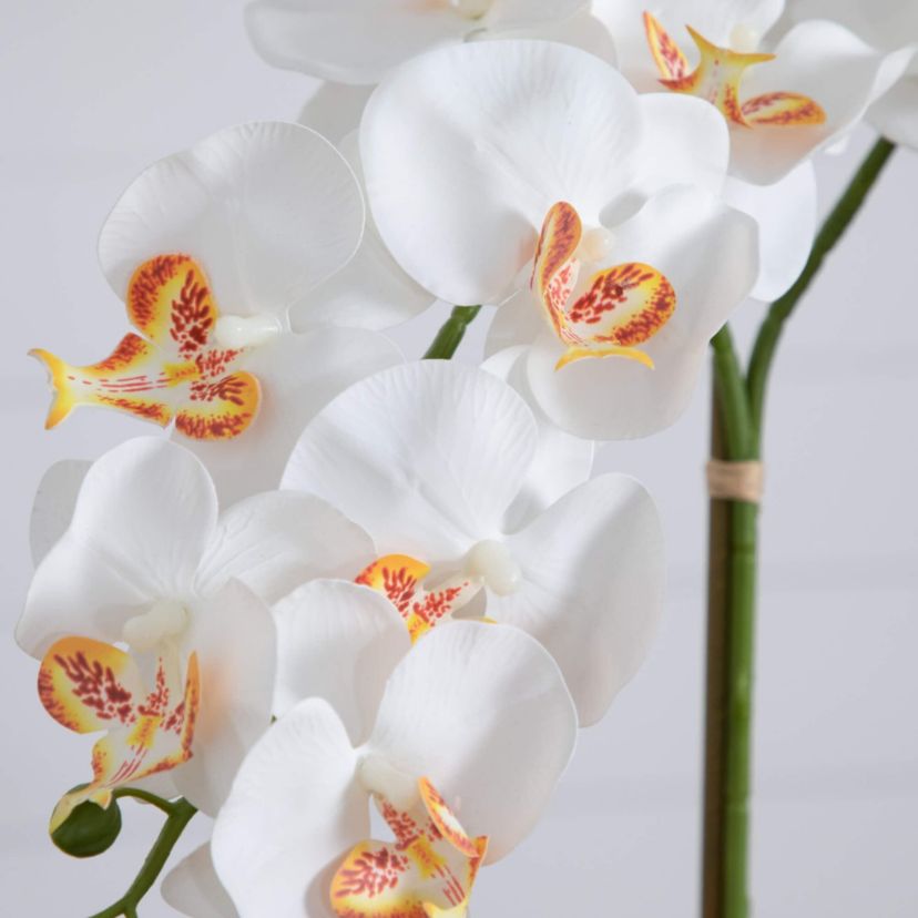 26-Inch  Artificial Double Orchid Arrangement in Handmade Mexican Talavera Ceramic Planter