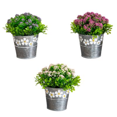 Nearly Natural 6-Inch Artificial Succulent Flowering Plant in Decorative Daisy Tin Planter - Set of 3