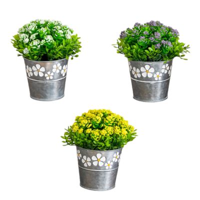 Nearly Natural 6-Inch Artificial Succulent Flowering Plant in Decorative Daisy Tin Planter - Set of 3