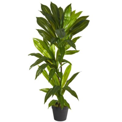 Nearly Natural 3-Foot Dracaena Artificial Plant (Real Touch)